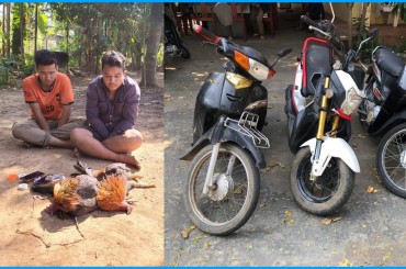 ចាប់ឃាត់ខ្លួនបានមុខសញ្ញាចំនួន០២នាក់ លួចលេងល្បែងជល់មាន់ភ្នាល់ដាក់ប្រាក់ នៅក្រុងកំពង់ចាម